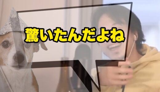 一時的に知能指数が低下したひろゆき