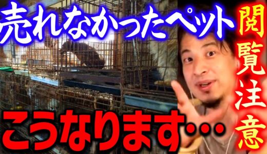 【ひろゆき】あなたがペットショップでペットを買えばこのような犠牲動物が増え続けることを覚えておいて下さい【 切り抜き 2ちゃんねる 思考 論破 kirinuki きりぬき hiroyuki】