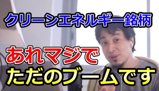 「クリーンエネルギー銘柄ってどう思う？」ひろゆき「あれマジでただのブームですよ」【ひろゆき切り抜き】