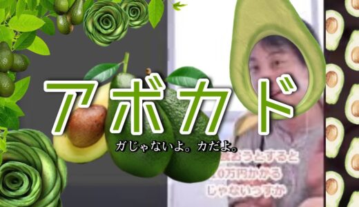 アボカド・ビジネス〝現地行って食ってこよ？〟税関ミッション【ひろゆき】#Shorts