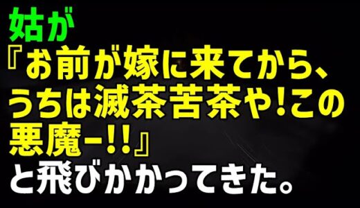 【スカッとひろゆき】姑が『お前が嫁に来てから、うちは滅茶苦茶や！この悪魔ー！！』と飛びかかってきた。