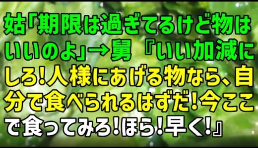 【スカッとひろゆき】姑「期限は過ぎてるけど物はいいのよ」→舅『いい加減にしろ！人様にあげる物なら、自分で食べられるはずだ！今ここで食ってみろ！ほら！早く！』