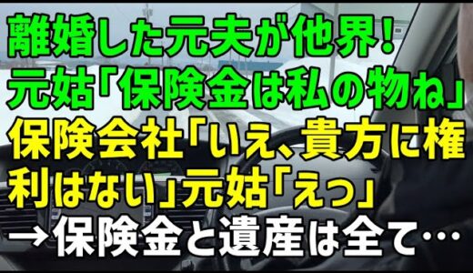 【スカッとひろゆき】離婚した元夫が他界！元姑「保険金は私の物ね」保険会社「いえ、貴方に権利はない」元姑「えっ」→保険金と遺産は全て・・・