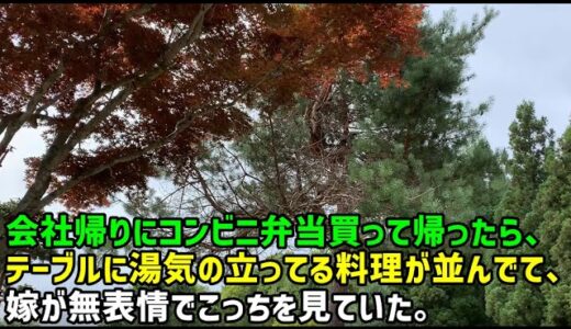 【スカッとひろゆき】会社帰りにコンビニ弁当買って帰ったら、テーブルに湯気の立ってる料理が並んでて、嫁が無表情でこっちを見ていた。