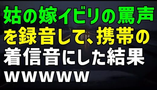 【スカッとひろゆき】姑の嫁イビリの罵声を録音して、携帯の着信音にした結果ｗｗｗｗｗ