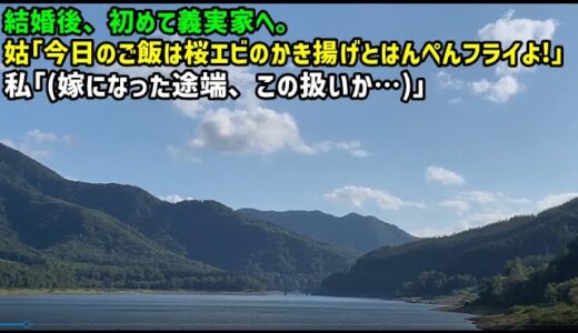 【スカッとひろゆき】結婚後、初めて義実家へ。姑「今日のご飯は桜エビのかき揚げとはんぺんフライよ！」私「嫁になった途端、この扱いか…」