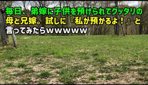 【スカッとひろゆき】毎日、弟嫁に子供を預けられてグッタリの母と兄嫁。試しに『私が預かるよ！』と言ってみたらｗｗｗｗｗ
