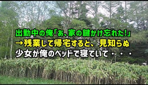 【スカッとひろゆき】出勤中の俺「あ、家の鍵かけ忘れた！」→残業して帰宅すると、見知らぬ少女が俺のベッドで寝ていて…