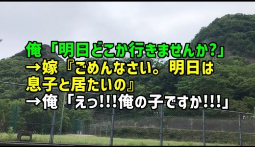 【スカッとひろゆき】俺「明日どこか行きませんか？」→嫁『ごめんなさい。明日は息子と居たいの』→俺「えっ！！！俺の子ですか！！！」