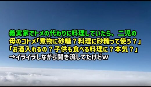 【スカッとひろゆき】義実家でトメの代わりに料理していたら、二児の母のコトメ「煮物に砂糖？料理に砂糖って使う？」「お酒入れるの？子供も食べる料理に？本気？」→イライラしながら聞き流してたけどｗ
