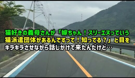 【スカッとひろゆき】猫好きの義母さんが「嫁ちゃん！スリーエヌっていう猫派遣団体があるんですって！知ってる？」と目をキラキラさせながら話しかけて来たんだけど…
