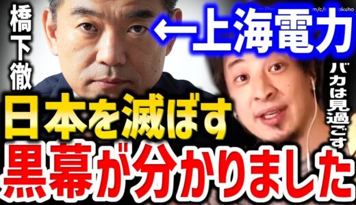 【ひろゆき】※コイツが国を滅ぼします※気付けないと日本は崩壊しますよ。上海電力問題で橋下徹を批判するネトウヨにひろゆき【切り抜き/論破/大阪市議会/ウクライナ/北村晴男/高市早苗/櫻井よしこ/】