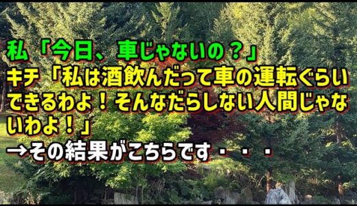 【スカッとひろゆき】私「今日、車じゃないの？」キチ「私は酒飲んだって車の運転ぐらいできるわよ！そんなだらしない人間じゃないわよ！」→その結果がこちらです・・・