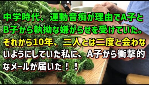 【スカッとひろゆき】中学時代、運動音痴が理由でA子とB子から執拗な嫌がらせを受けていた。それから10年、二人とは二度と会わないようにしていた私に、A子から衝撃的なメールが届いた！！
