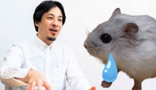 ひろゆきに叱られるハムスター