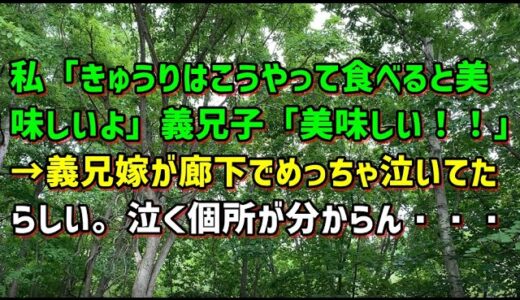 【スカッとひろゆき】私「きゅうりはこうやって食べると美味しいよ」義兄子「美味しい！！」→義兄嫁が廊下でめっちゃ泣いてたらしい。泣く個所が分からん・・・