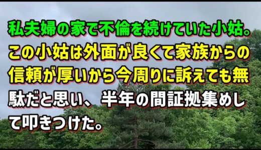 【スカッとひろゆき】私夫婦の家で不倫を続けていた小姑。この小姑は外面が良くて家族からの信頼が厚いから今周りに訴えても無駄だと思い、半年の間証拠集めして叩きつけた。