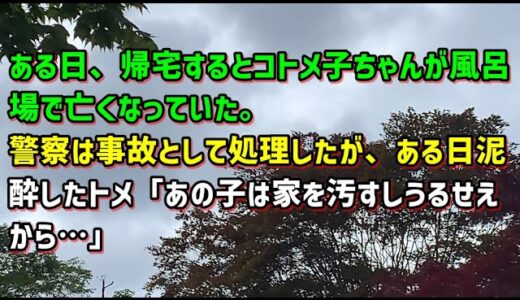 【スカッとひろゆき】【酷過ぎる】ある日、帰宅するとコトメ子ちゃんが風呂場で亡くなっていた。警察は事故として処理したが、ある日泥酔したトメ「あの子は家を汚すしうるせえから…」