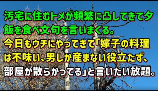 【スカッとひろゆき】汚宅に住むトメが頻繁に凸してきて夕飯を食べ文句を言いまくる｡今日もウチにやってきて｢嫁子の料理は不味い､男しか産まない役立たず､部屋が散らかってる｣と言いたい放題｡