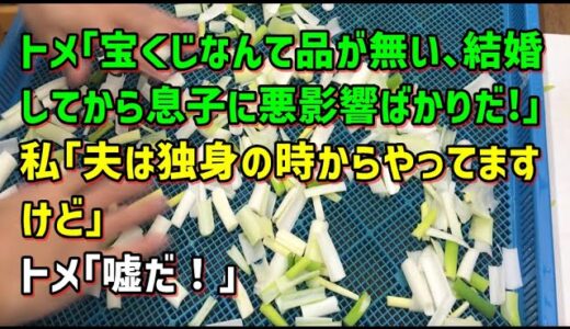 【スカッとひろゆき】トメ｢宝くじなんて品が無い､結婚してから息子に悪影響ばかりだ！｣ 私｢夫は独身の時からやってますけど｣ トメ｢嘘だ！｣