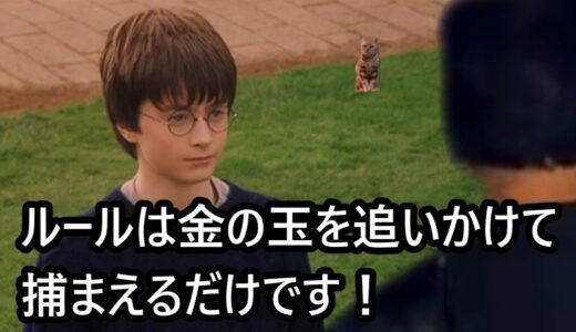 クディッチの指導者に抜擢されるデスイーターひろゆき【おしゃべりひろゆきメーカー】