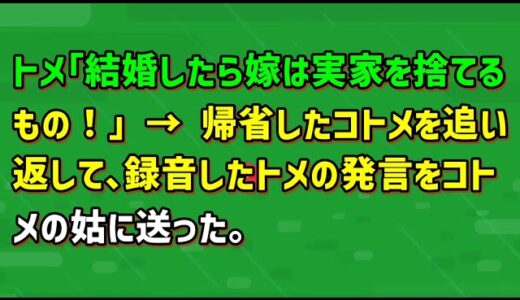 【スカッとひろゆき】トメ｢結婚したら嫁は実家を捨てるもの！｣ → 帰省したコトメを追い返して､録音したトメの発言をコトメの姑に送った｡