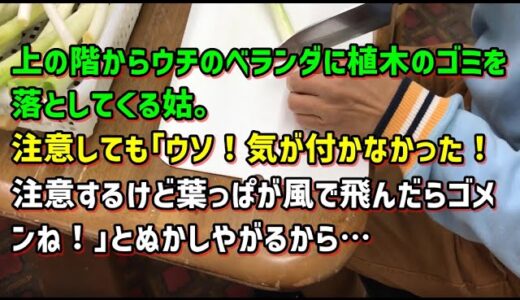 【スカッとひろゆき】上の階からウチのベランダに植木のゴミを落としてくる姑。注意しても｢ウソ！気が付かなかった！注意するけど葉っぱが風で飛んだらゴメンね！｣とぬかしやがるから…