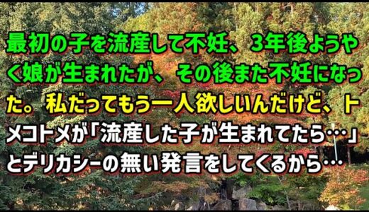 【スカッとひろゆき】最初の子を流産して不妊、3年後ようやく娘が生まれたが、その後また不妊になった。私だってもう一人欲しいんだけど、トメ･コトメが｢流産した子が生まれてたら・・・｣と…