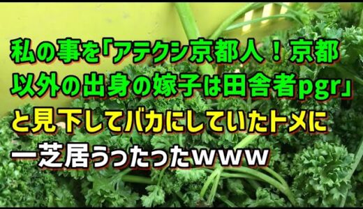 【スカッとひろゆき】私の事を｢アテクシ京都人！京都以外の出身の嫁子は田舎者pgr｣と見下してバカにしていたトメに一芝居うったったｗｗｗ