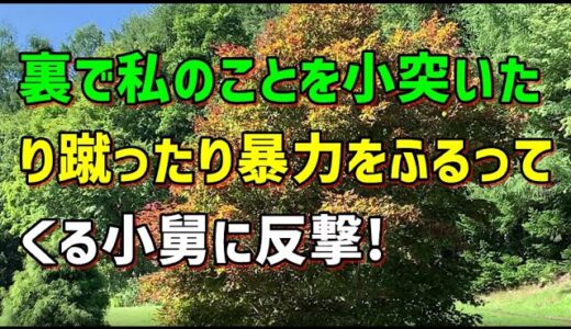 【スカッとひろゆき】【最低】裏で私のことを小突いたり蹴ったり暴力をふるってくる小舅に反撃!