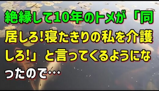 【スカッとひろゆき】絶縁して10年のトメが「同居しろ!寝たきりの私を介護しろ!」と言ってくるようになったので…