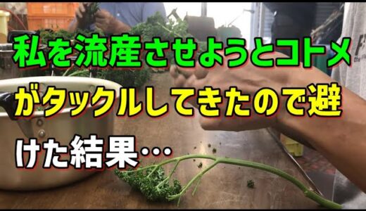 【スカッとひろゆき】私を流産させようとコトメがタックルしてきたので避けた結果…