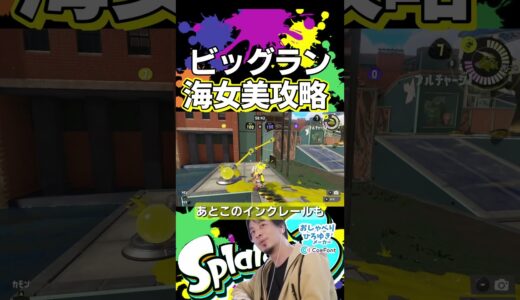 ビッグラン上位５％ひろゆきによる海女美術大学の考察【Splatoon3】【サーモンラン】