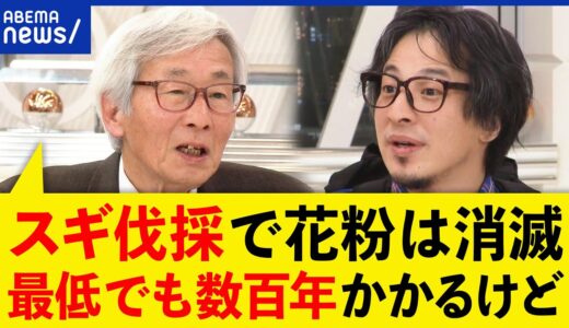 【花粉症】スギの木を全伐採するには数百年？東京と名古屋は危険地帯？完全撲滅は夢物語なのか？｜アベプラ