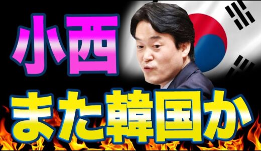 小西ひろゆき「行政文書に捏造があるんですか！」元ネタは国連が採用した河野談話による報告書で韓国寄りの人物であることがますます明らかになってしまう。