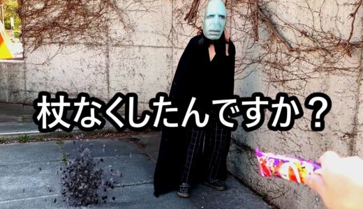 闇の帝王と公園で遊ぶとこうなる「超実写版デスイーターひろゆき」【おしゃべりひろゆきメーカー】