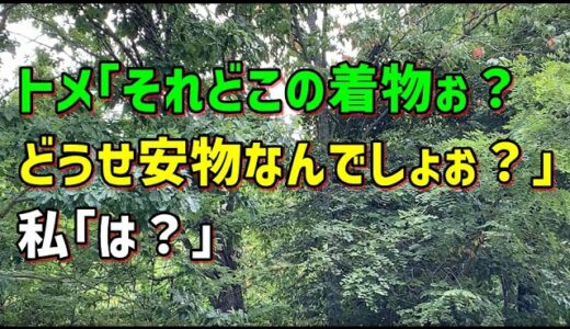 【スカッとひろゆき】トメ｢それどこの着物ぉ？どうせ安物なんでしょぉ？｣ 私｢は？｣