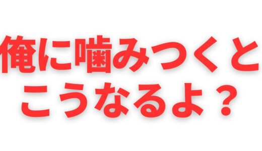 【空中戦】ひろゆきネガティブキャンペーン