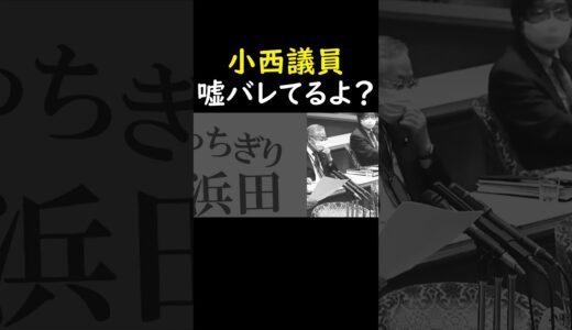 【浜田聡】小西ひろゆき議員、その発言バレてますよ？　#小西ひろゆき   #浜田聡  #政治ニュース#国会