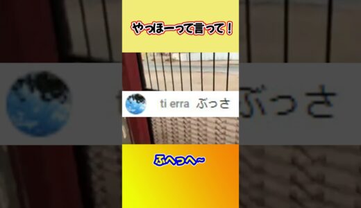 ナミビアからやっほーひろゆき【ひろゆき切り抜き】 #shorts #ひろゆきショート #かわゆき #やっほー