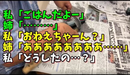 【スカッとひろゆき】私「ごはんだよー」 姉「………」 私「おねえちゃーん？」 姉「あああああああああ………」 私「どうしたの…？」