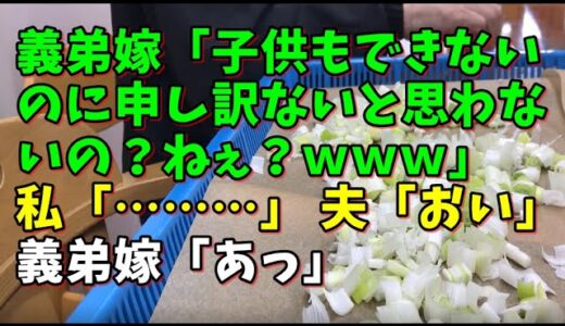 【スカッとひろゆき】義弟嫁「子供もできないのに申し訳ないと思わないの？ねぇ？ｗｗｗ」 私「………」 夫「おい」 義弟嫁「あっ」