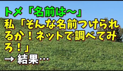 【スカッとひろゆき】トメ「名前は～」 私「そんな名前つけられるか！ネットで調べてみろ！」 → 結果…