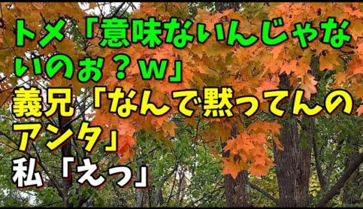 【スカッとひろゆき】トメ「意味ないんじゃないのぉ？ｗ」 義兄「なんで黙ってんのアンタ」 私「えっ」