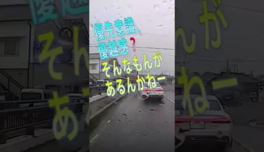 外車のバカ　#ひろゆきの実 #信号無視 #イエローカット