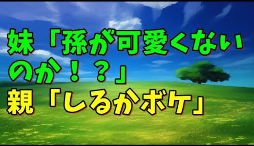 【スカッとひろゆき】妹「孫が可愛くないのか！？」 親「しるかボケ」