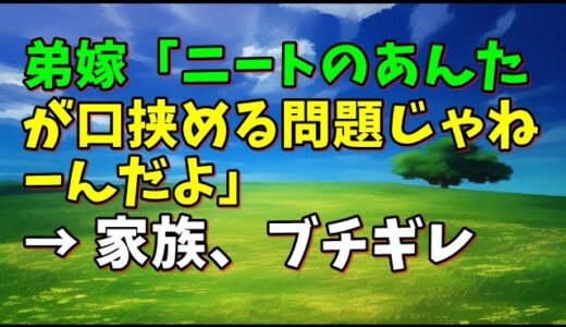 【スカッとひろゆき】弟嫁「ニートのあんたが口挟める問題じゃねーんだよ」 → 家族、ブチギレ