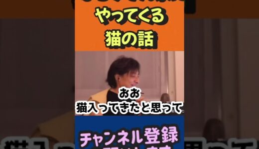 ひろゆきん家にやってくる猫の話【ひろゆき切り抜き】 #切り抜き #ひろゆき #2ch