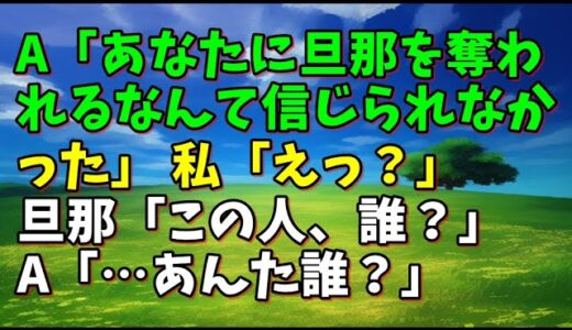 【スカッとひろゆき】A「あなたに旦那を奪われるなんて信じられなかった」 私「えっ？」 旦那「この人、誰？」 A「…あんた誰？」