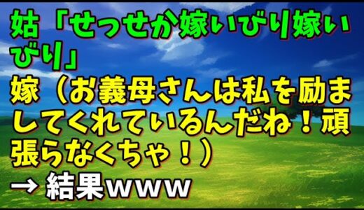 【スカッとひろゆき】姑「せっせか嫁いびり嫁いびり」 嫁（お義母さんは私を励ましてくれているんだね！頑張らなくちゃ！） → 結果ｗｗｗ